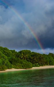 Preview wallpaper island, trees, sea, ocean, rainbow
