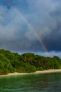 Preview wallpaper island, trees, sea, ocean, rainbow