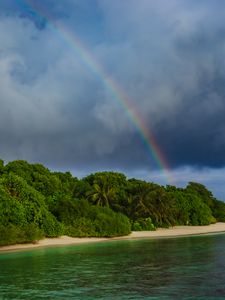 Preview wallpaper island, trees, sea, ocean, rainbow