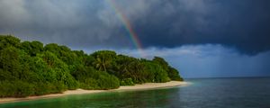 Preview wallpaper island, trees, sea, ocean, rainbow