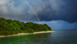 Preview wallpaper island, trees, sea, ocean, rainbow