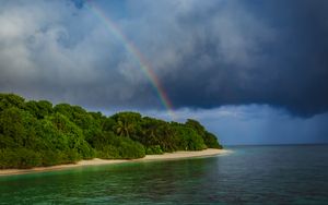 Preview wallpaper island, trees, sea, ocean, rainbow