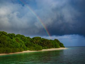 Preview wallpaper island, trees, sea, ocean, rainbow