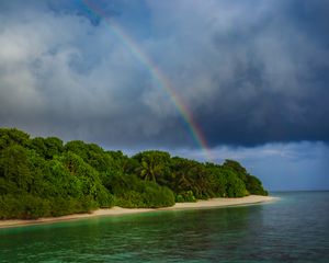 Preview wallpaper island, trees, sea, ocean, rainbow