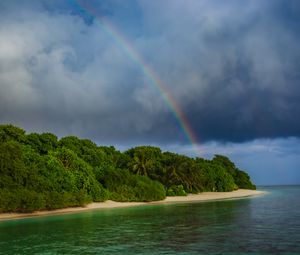 Preview wallpaper island, trees, sea, ocean, rainbow