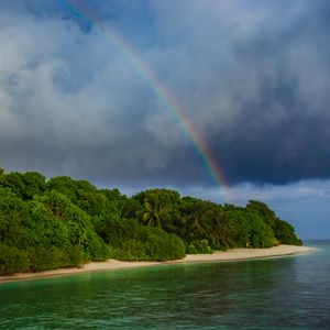 Preview wallpaper island, trees, sea, ocean, rainbow