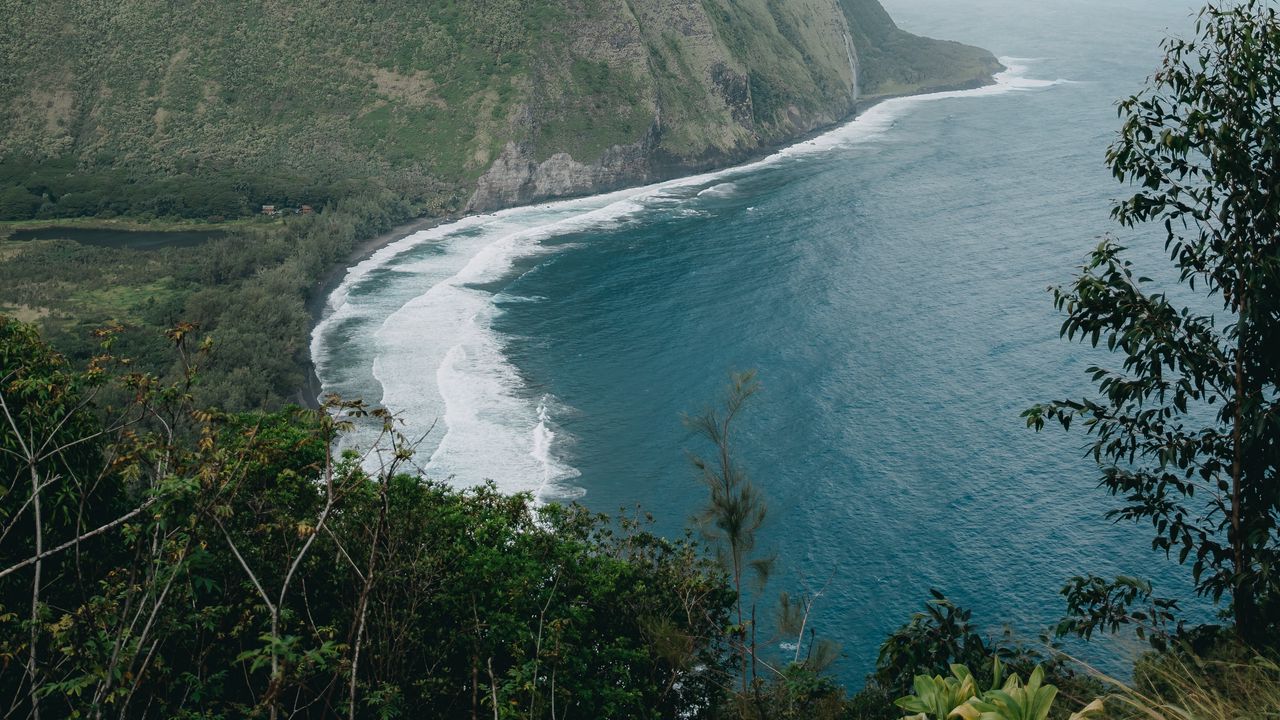 Wallpaper island, trees, sea, waves, water, nature