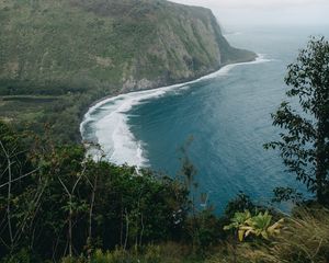 Preview wallpaper island, trees, sea, waves, water, nature