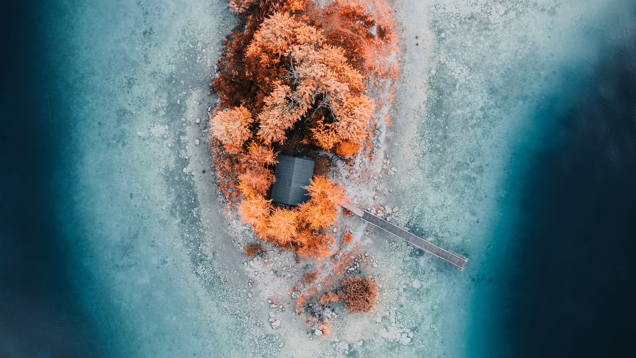 Wallpaper island, trees, sea, aerial view