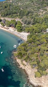 Preview wallpaper island, trees, sea, boats, aerial view