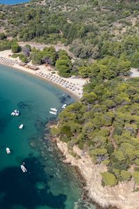 Preview wallpaper island, trees, sea, boats, aerial view