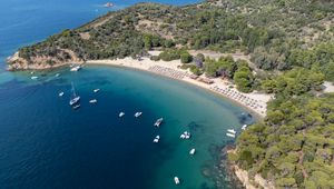 Preview wallpaper island, trees, sea, boats, aerial view