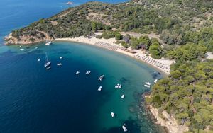 Preview wallpaper island, trees, sea, boats, aerial view