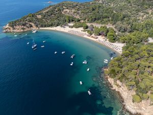 Preview wallpaper island, trees, sea, boats, aerial view