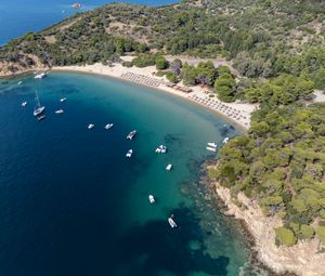 Preview wallpaper island, trees, sea, boats, aerial view