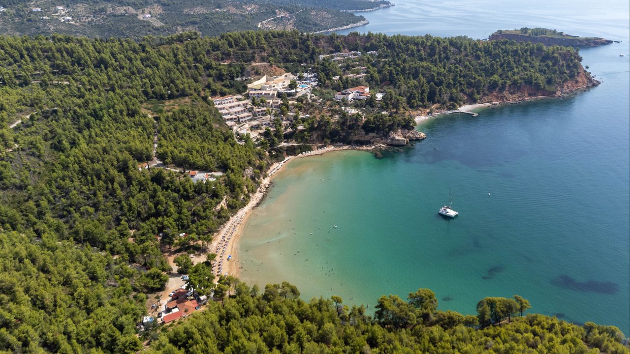 Wallpaper island, trees, sea, boat, aerial view