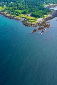 Preview wallpaper island, trees, sea, nature, aerial view