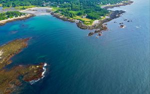 Preview wallpaper island, trees, sea, nature, aerial view