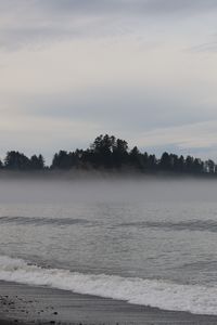 Preview wallpaper island, trees, sea, water, fog, landscape