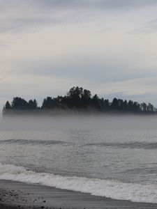 Preview wallpaper island, trees, sea, water, fog, landscape