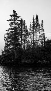 Preview wallpaper island, trees, sea, water, black and white