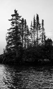 Preview wallpaper island, trees, sea, water, black and white