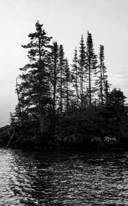 Preview wallpaper island, trees, sea, water, black and white