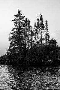 Preview wallpaper island, trees, sea, water, black and white