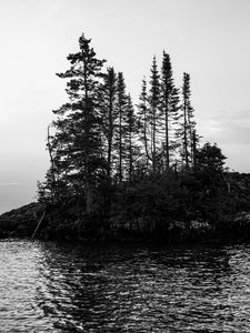 Preview wallpaper island, trees, sea, water, black and white