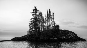 Preview wallpaper island, trees, sea, water, black and white