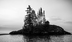 Preview wallpaper island, trees, sea, water, black and white