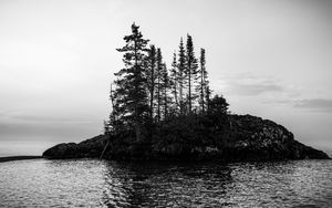 Preview wallpaper island, trees, sea, water, black and white