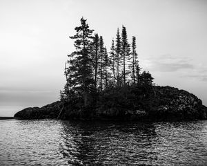 Preview wallpaper island, trees, sea, water, black and white