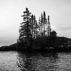 Preview wallpaper island, trees, sea, water, black and white