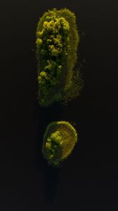 Preview wallpaper island, trees, water, aerial view