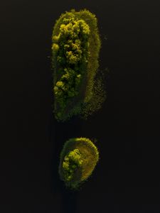 Preview wallpaper island, trees, water, aerial view