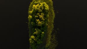 Preview wallpaper island, trees, water, aerial view