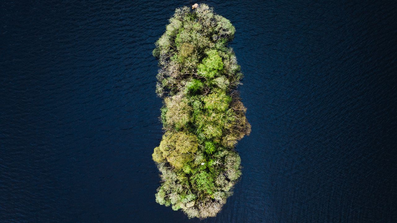Wallpaper island, water, aerial view, trees, treetops