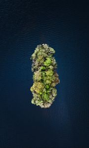 Preview wallpaper island, water, aerial view, trees, treetops