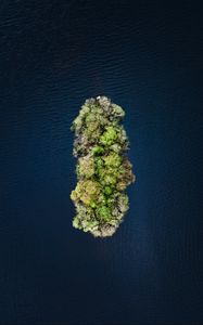 Preview wallpaper island, water, aerial view, trees, treetops