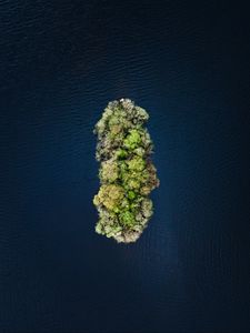 Preview wallpaper island, water, aerial view, trees, treetops