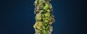 Preview wallpaper island, water, aerial view, trees, treetops