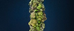 Preview wallpaper island, water, aerial view, trees, treetops