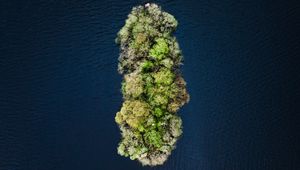 Preview wallpaper island, water, aerial view, trees, treetops