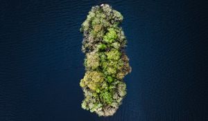 Preview wallpaper island, water, aerial view, trees, treetops