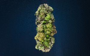 Preview wallpaper island, water, aerial view, trees, treetops