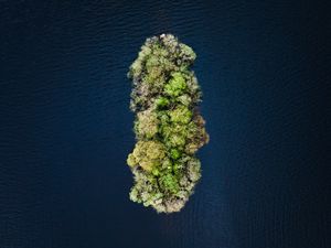 Preview wallpaper island, water, aerial view, trees, treetops