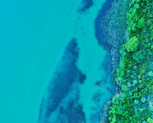 Preview wallpaper island, water, plants, aerial view