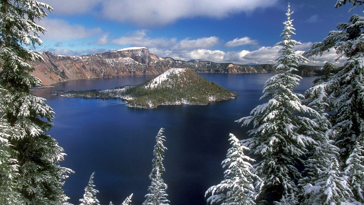 Wallpaper island, winter, fir-trees, lake