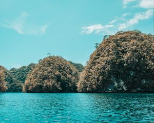 Preview wallpaper islands, trees, water, coast, nature